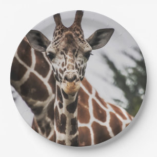Giraffe kop Giraffe print Afrikaans dier Papieren Bordje