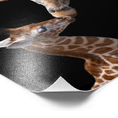 Giraffe Kus Print Foto Afdruk (Hoek)