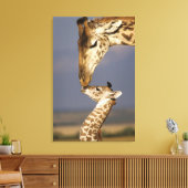 Giraffe kust baby giraffe canvas afdruk (Insitu (Woonkamer))
