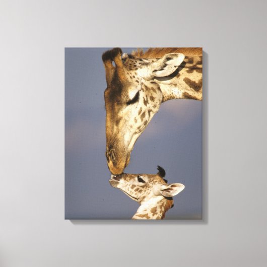 Giraffe kust baby giraffe canvas afdruk (Voorkant)