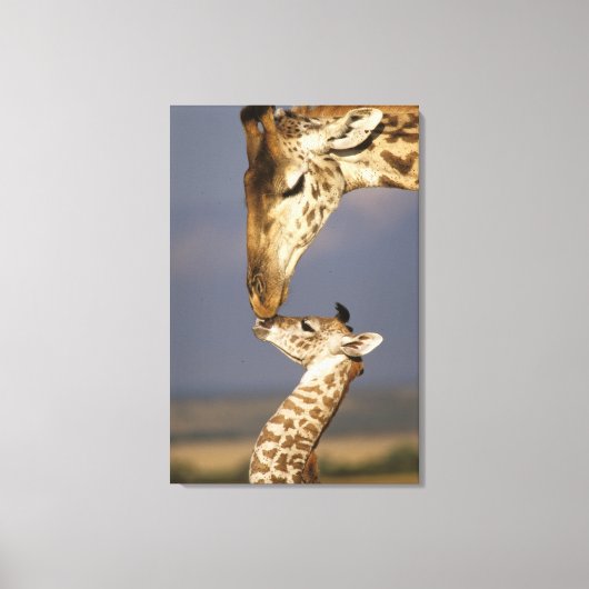 Giraffe kust baby giraffe canvas afdruk (Voorkant)