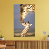 Giraffe kust baby giraffe canvas afdruk (Insitu (Woonkamer))