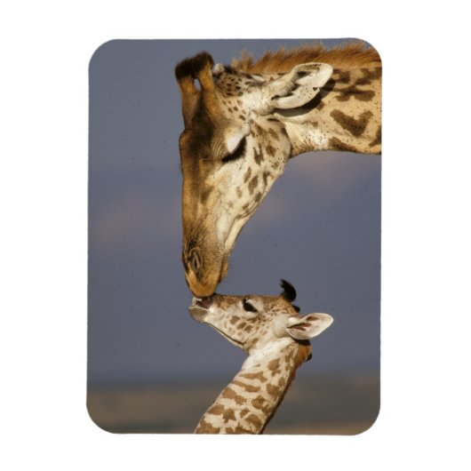 Giraffe kust baby giraffe magneet (Verticaal)