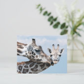 Giraffe kust haar kalf briefkaart (Staand voorkant)