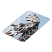 Giraffe kust haar kalf magneet (Linkerzijde)