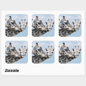 Giraffe kust haar kalf vierkante sticker (Vel)