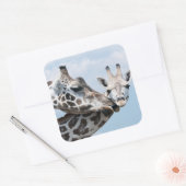 Giraffe kust haar kalf vierkante sticker (Envelop)