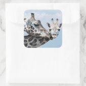 Giraffe kust haar kalf vierkante sticker (Tas)