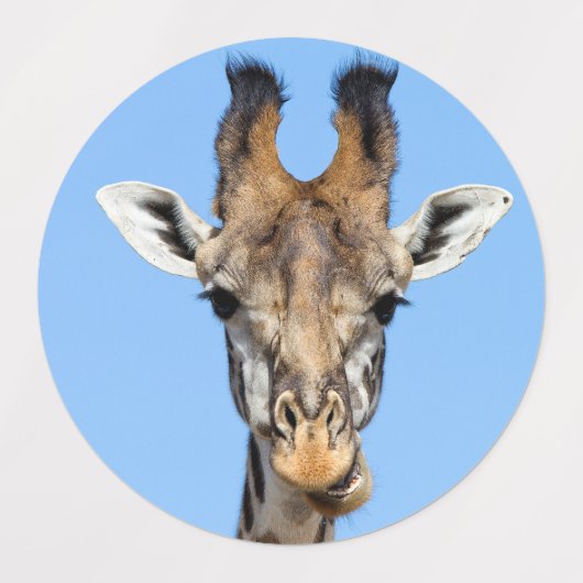 Giraffe Labels (Design 1)