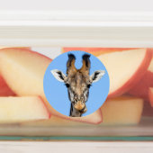 Giraffe Labels (Aangebracht)