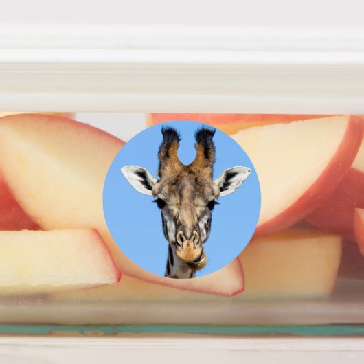 Giraffe Labels (Aangebracht)