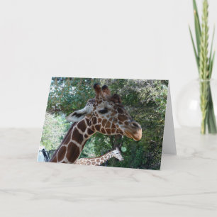 Giraffe leeg in Wenskaart Kaart