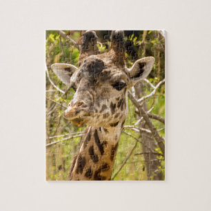 Giraffe Legpuzzel