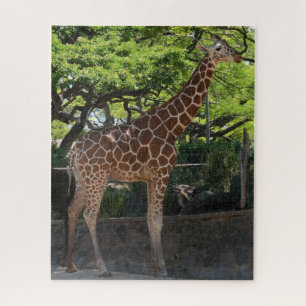 Giraffe Legpuzzel