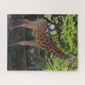 Giraffe Legpuzzel (Horizontaal)