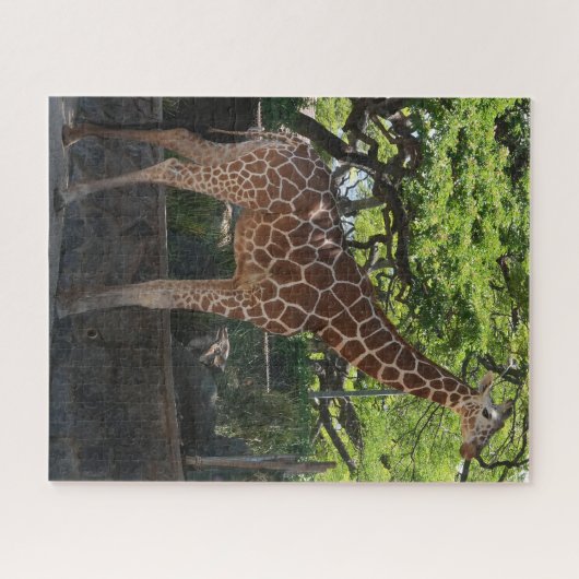Giraffe Legpuzzel (Horizontaal)