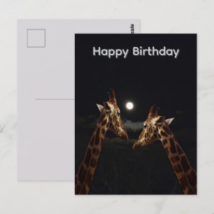 Giraffe Liefde In Het Maanlicht, Verjaardagsansich Briefkaart