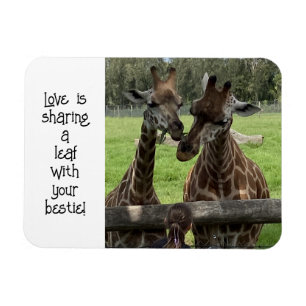 Giraffe Liefde... Magneet