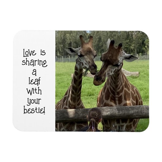 Giraffe Liefde... Magneet (Horizontaal)