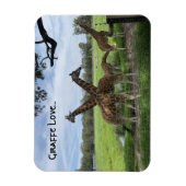 Giraffe liefde...magneet magneet (Verticaal)