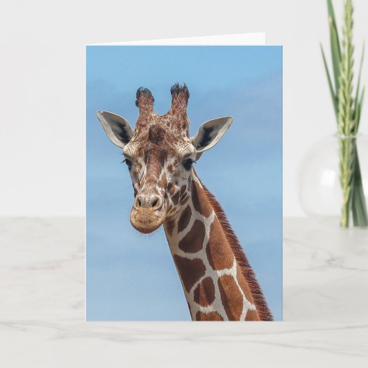 Giraffe Looking Right At Me Kaart (Voorkant)