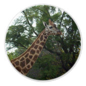 Giraffe loopt met Natuur, Keramische Knop (Voorkant)