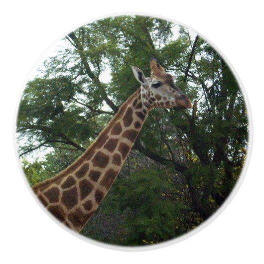 Giraffe loopt met Natuur, Keramische Knop (Voorkant)
