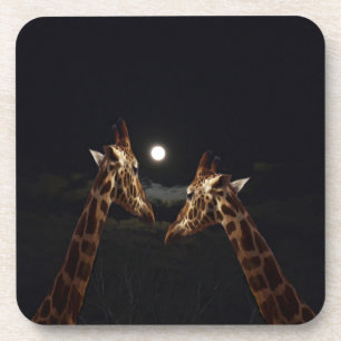Giraffe Love in the Moonlight Drankjes Onderzetter