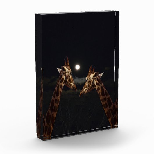 Giraffe Love in the Moonlight Fotoblokken (Links)