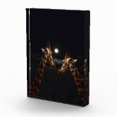 Giraffe Love in the Moonlight Fotoblokken (Rechts)