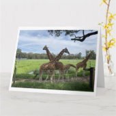 Giraffe Love Kaart (Gele Bloem)