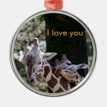 Giraffe Love