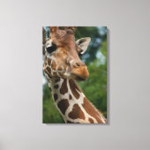 Giraffe Lovers Art Canvas Afdruk (Voorkant)