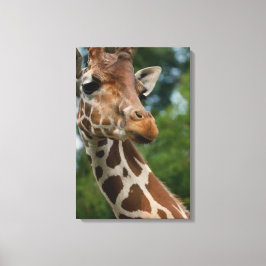 Giraffe Lovers Art Canvas Afdruk