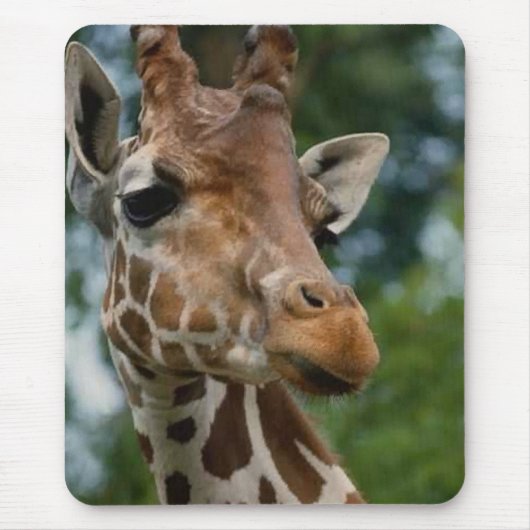 Giraffe Lovers Art Gifts Muismat (Voorkant)