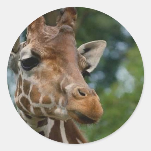 Giraffe Lovers Art Gifts Ronde Sticker (Voorkant)