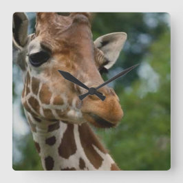 Giraffe Lovers Art Gifts Vierkante Klok