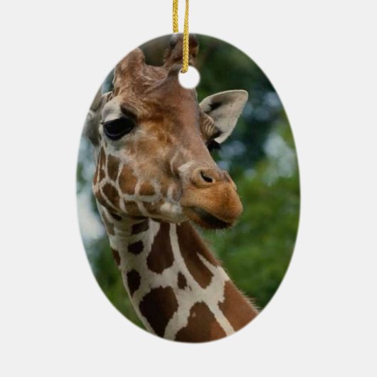 Giraffe Lovers kerstversiering Keramisch Ornament (Achterkant)