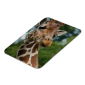 Giraffe Lovers Wildlife Magneet (Linkerzijde)