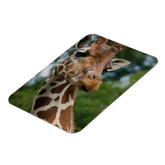 Giraffe Lovers Wildlife Magneet (Linkerzijde)