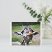 Giraffe Lunch Briefkaart (Staand voorkant)