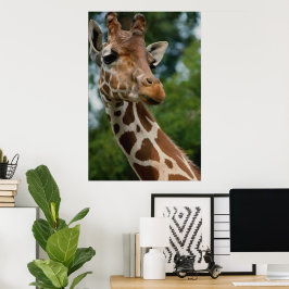 Giraffe maakt kunstschildboeken poster