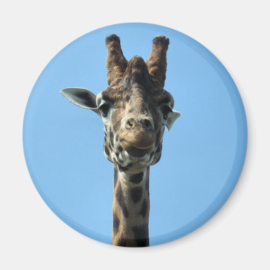 GIRAFFE MAGNEET (Voorkant)