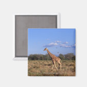 Giraffe Magneet (Voorkant / Achterkant)