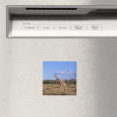Giraffe Magneet (Insitu (Vaatwasser))