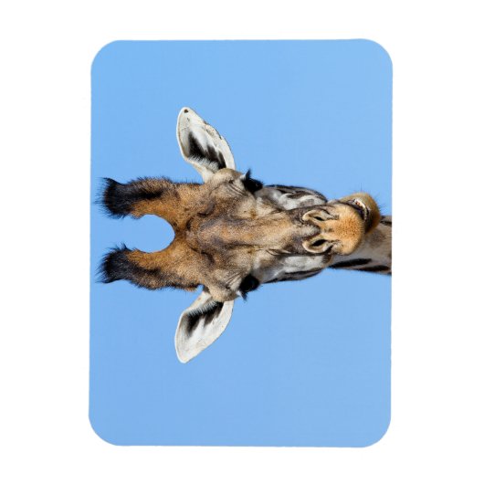 Giraffe Magneet (Verticaal)