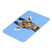 Giraffe Magneet (Linkerzijde)