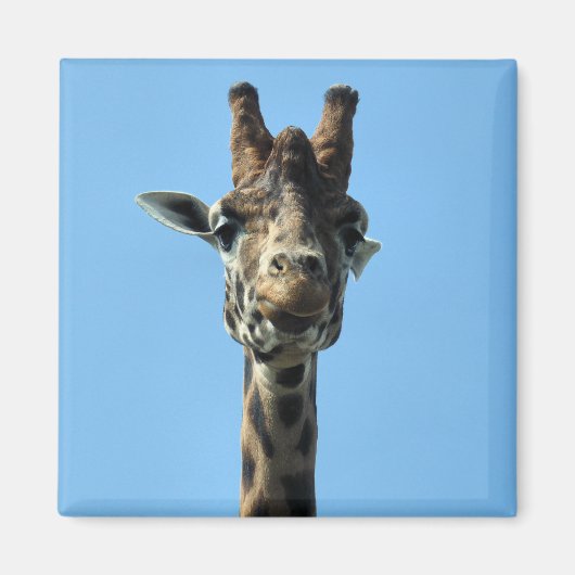 GIRAFFE MAGNEET (Voorkant)
