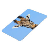 Giraffe Magneet (Linkerzijde)