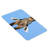 Giraffe Magneet (Rechterzijde)
